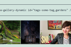 Captura-de-pantalla-2023-09-29-141522